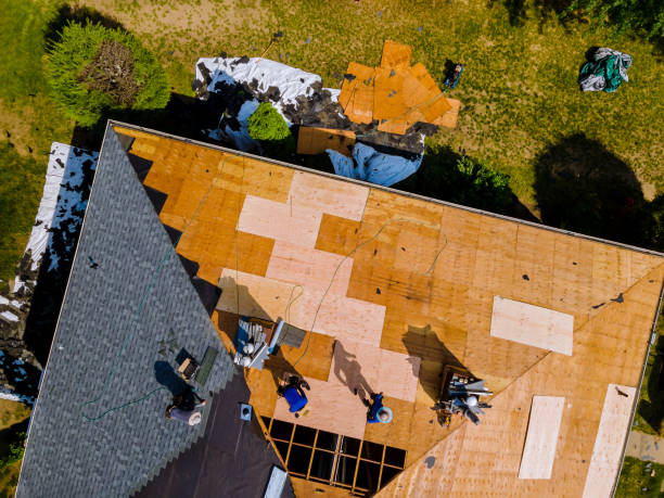 Best Best Roofing Contractors  in Palmyra, WI
