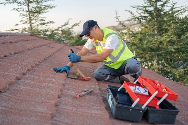 Best Tile Roofing Contractor  in Palmyra, WI