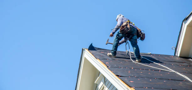 Best Roof Gutter Cleaning  in Palmyra, WI